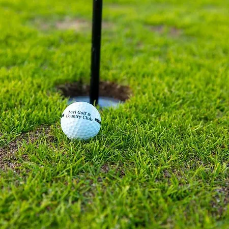 In Lapland - Sointuilevi A43 Levi